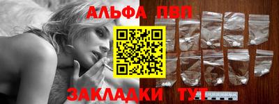 стафф Кингисепп