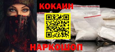 стафф Кингисепп