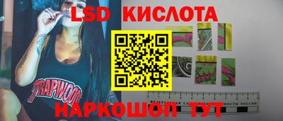 Альфа ПВП Ярославль