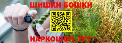 стафф Кингисепп