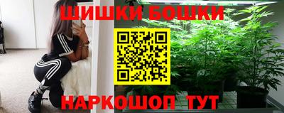 стафф Кингисепп