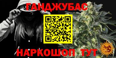 стафф Кингисепп