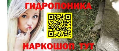 стафф Кингисепп