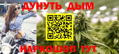 стафф Кингисепп