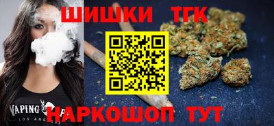 стафф Кингисепп