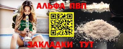стафф Кингисепп