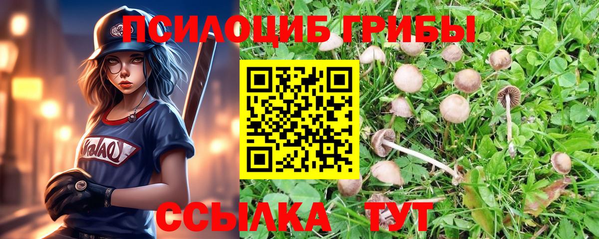 как найти наркотики  Галлюциногенные грибы GOLDEN TEACHER  Вход с VPN  Комсомольск-на-Амуре 