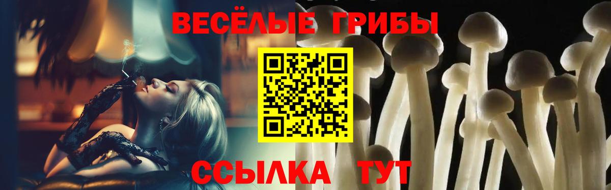 Псилоцибиновые грибы прущие грибы Комсомольск-на-Амуре